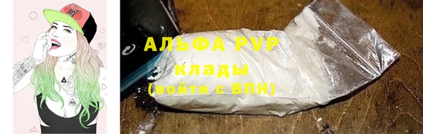 хмурый Осинники