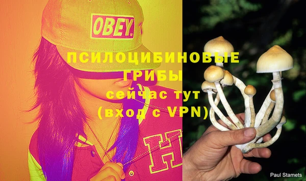 ALPHA PVP Остров