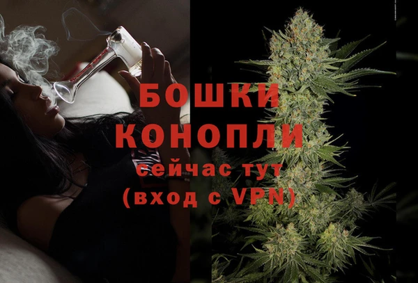 ALPHA PVP Остров