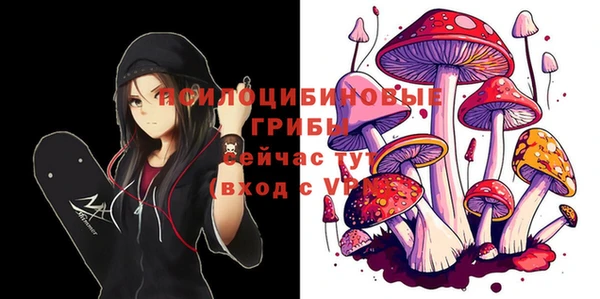 МДМА Дмитров