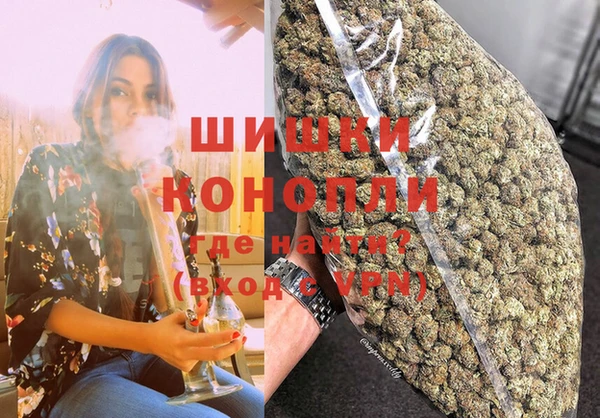 хмурый Осинники