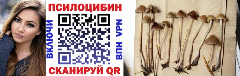 где продают   Светлогорск  Галлюциногенные грибы ЛСД 